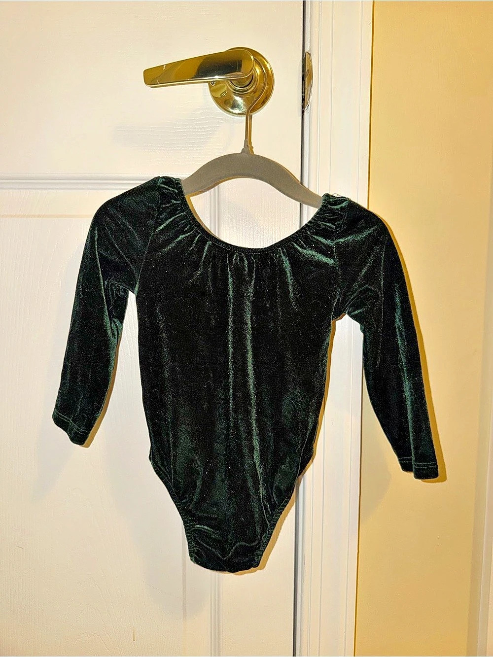 Bailey’s Blossoms Velvet Long Sleeve Bodysuit